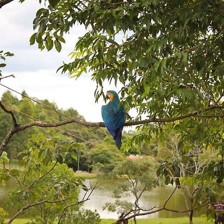 Pousada Fazenda Buracao Mococa Exteriér fotografie