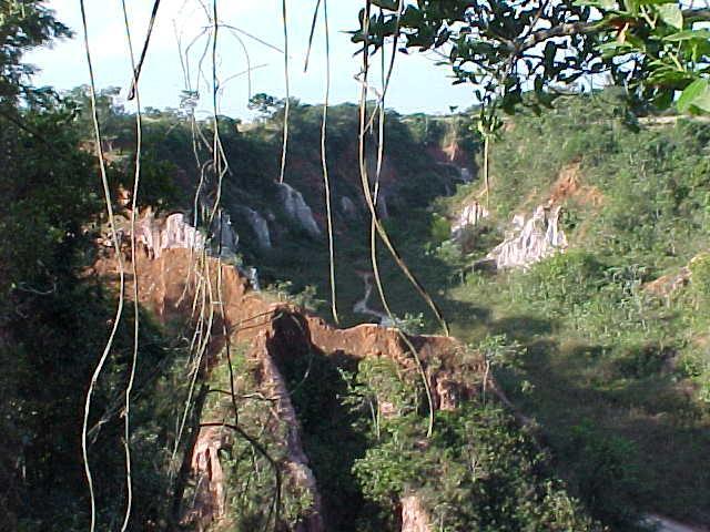 Pousada Fazenda Buracao Mococa Exteriér fotografie